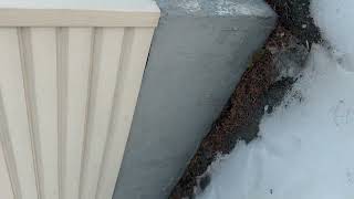 IMG 5331