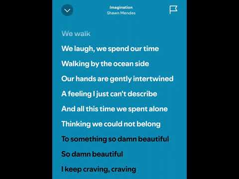 Imagination - Shawn mendes (Lyrics)