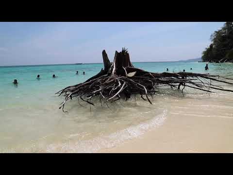 Видео: 11 островов за один день! Пхукет.