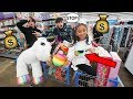 Little Sister Steals Our Credit Card And Spends $5,000 On Toys!