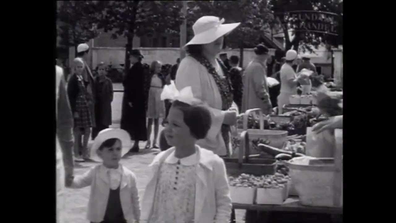 Falkenberg - En sommarstad vid västerhav