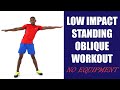 Low Impact Standing Oblique Workout | 17 Minute Love Handles Workout No Equipment