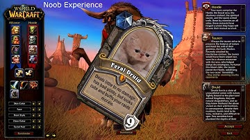 WoW Classic: Noob vs Expert Experience