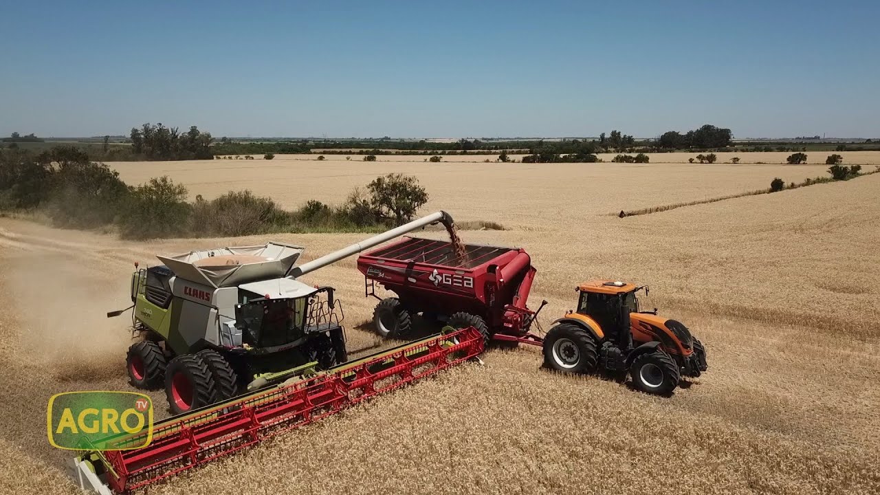 Carlos Sacks: Tambero, productor y contratista tecnológica de Entre Ríos (#1009 2022-12-10)