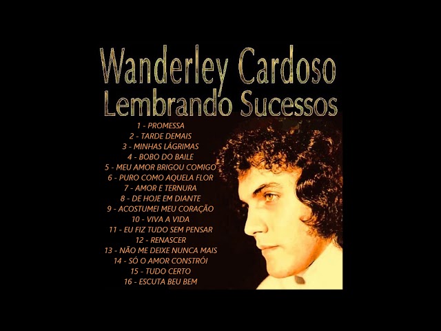 Wanderley Cardoso - 20 Sucessos -1980