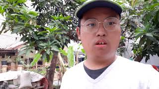 Failed project