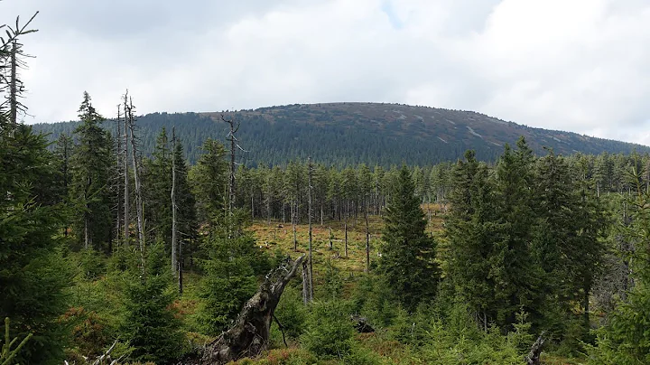Wanderungen im Glatzer Land