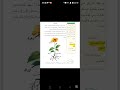 الصف الثالث ابتدائي العلوم الزهره الساق الاوراق جذور 