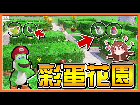 【巧克力】夢幻景點！全種類鳥群 !!【彩蛋花園】怎麼會？是誰篡改我的記憶😂【超級瑪利歐奧德賽】