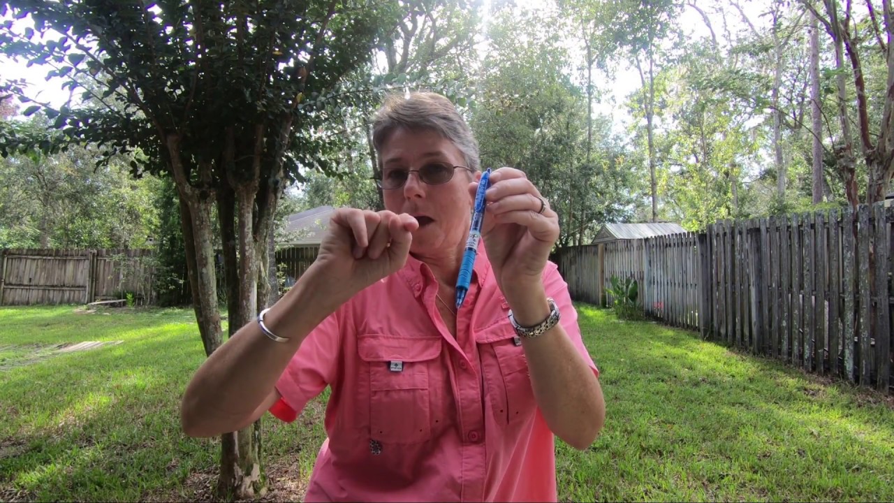Science in ASL: Bottle to Pen!