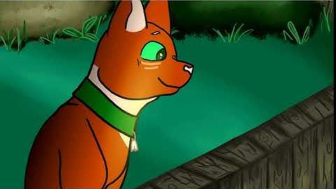 OH NO  \Warrior cats AU MAP\ part 1