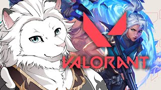 【VALORANT】twitchと同時配信中！ソロラン　ブロンズ２～🦁