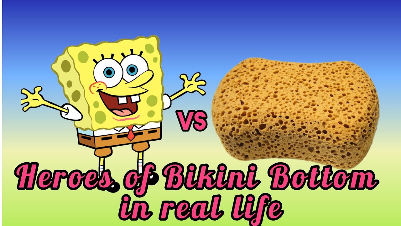 Heroes of Bikini Bottom in real life. SpongeBob Avocado01 YouTube
