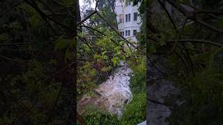 Strawberry Creek Turns Into Major River #berkeley #flood #river