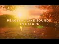 Relaxing Nature Sounds - Peaceful Lake Water Sounds | Study, Sleep, Stress Relief