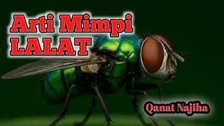 Arti mimpi lalat  #maknamimpi  #tafsirmimpi #primbonjawa  