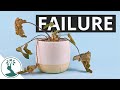 Dealing With Plant Failure