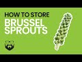 How to Store Brussels Sprouts