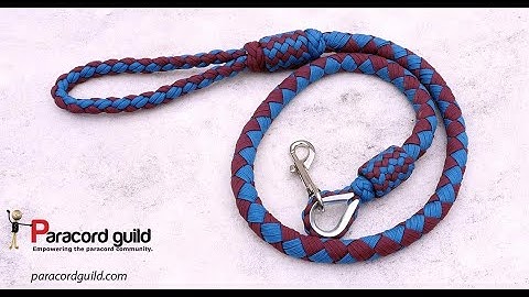 Plaited paracord dog leash