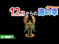 【あつ森】12月から捕れる海の幸を紹介！ロブスターやクルマエビなどベルも稼げるレアな生き物が大量！出現時間・影のサイズ・捕まえ方・値段など解説【あつまれどうぶつの森　12月海の幸図鑑コンプリート】
