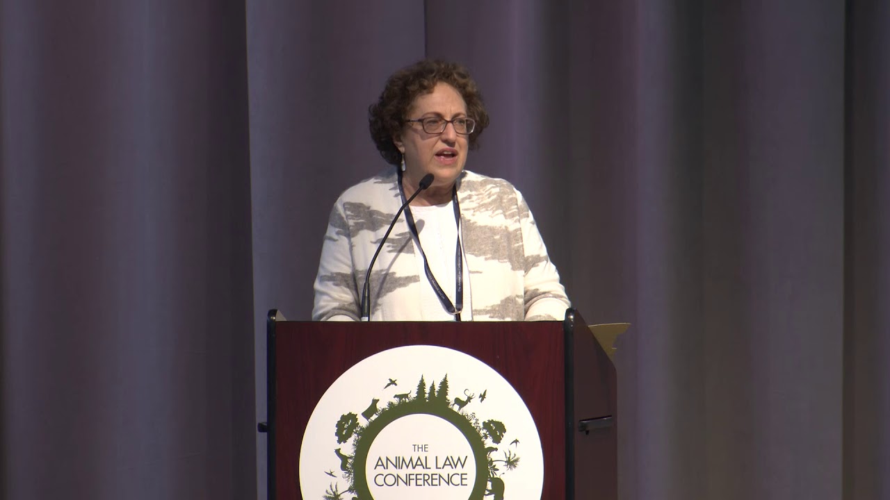 02 - Introduction to the Legal Status of Animals