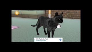 My Talking Mumbai Cat App #1 (Part 3) (final) screenshot 2