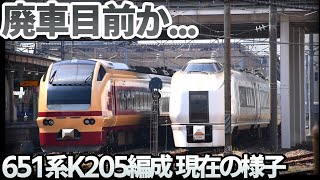 【廃車目前か】2020年4月現在 651系K205編成の様子