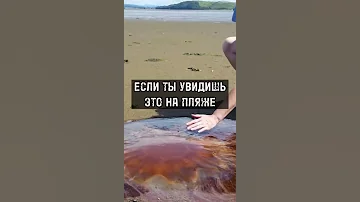 Если Ты Увидишь Это На Пляже...