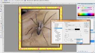 PhP Tut 9.wmv