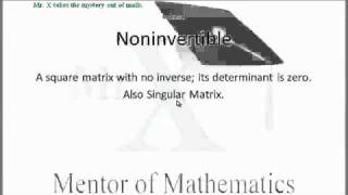 Glossary-Noninvertible