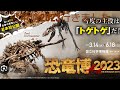 【恐竜博2023】#国立科学博物館#恐竜博2023#恐竜 #dinosaur