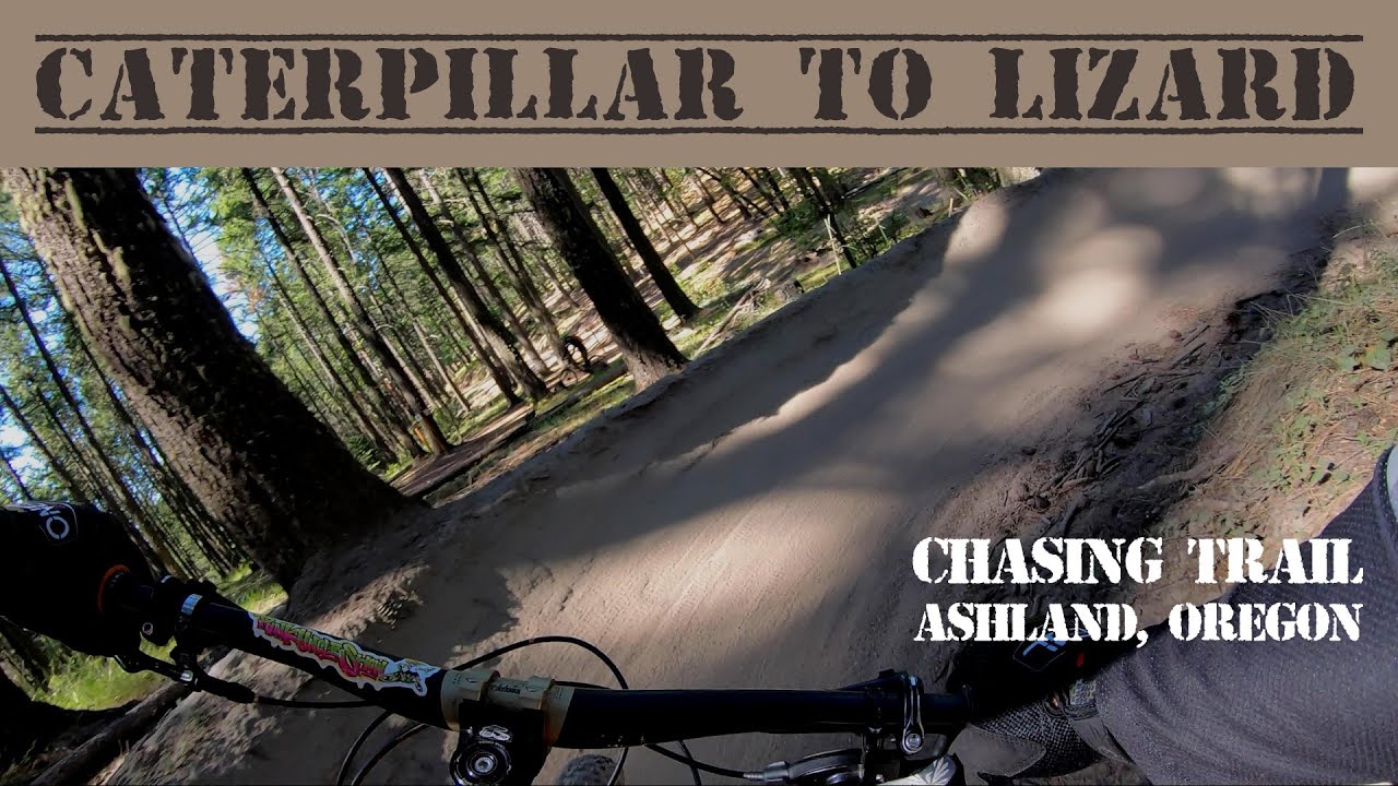 CHASING TRAIL: "CATERPILLAR TO LIZARD" - Two of Ashland's amazing 