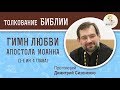 Гимн Любви Апостола Иоанна. Протоиерей Димитрий Сизоненко. Толкование 1-е Послание Апостола Иоанна