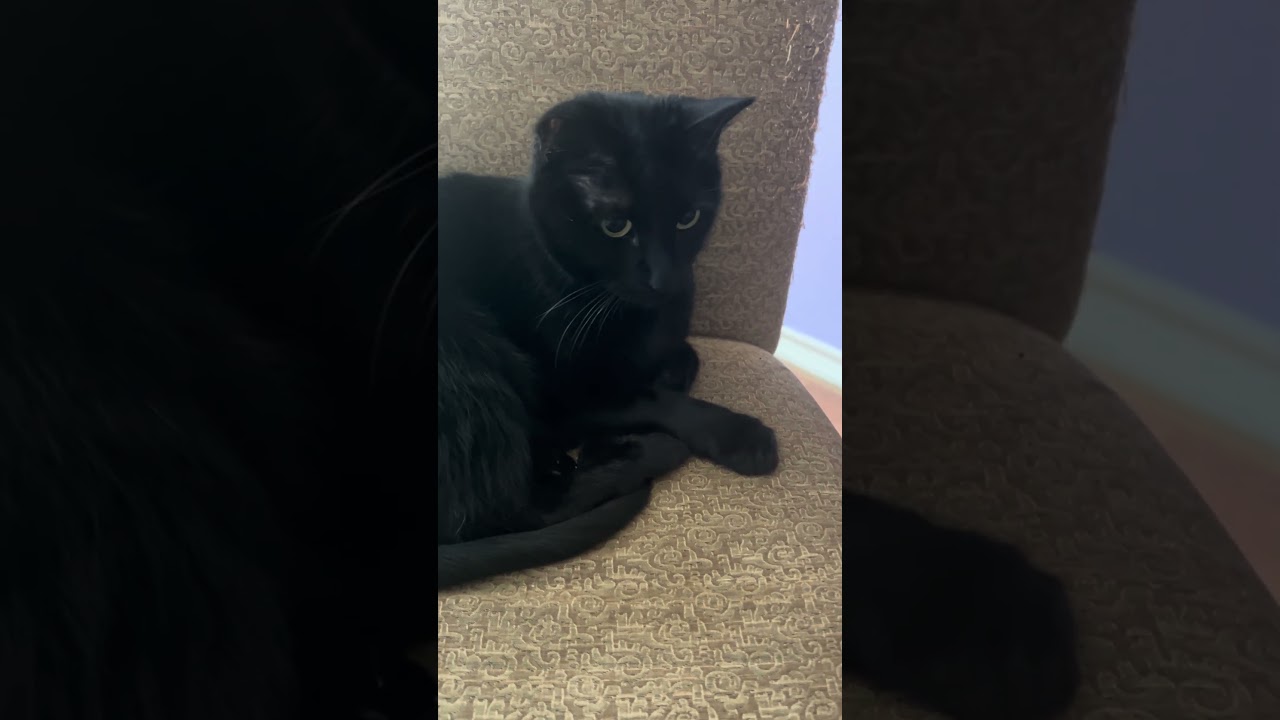 В недалеком будущем — «Викторина по вторникам».