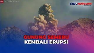 Pagi Ini Gunung Semeru Kembali Erupsi, Muntahkan Kolom Abu Vulkanik Setinggi 900 Meter