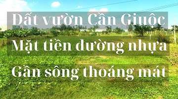 Đất vườn thị trấn Cần Giuộc| Diện tích 500m2| Mặt tiền đường nhựa| Gần sông thoáng mát| SHR