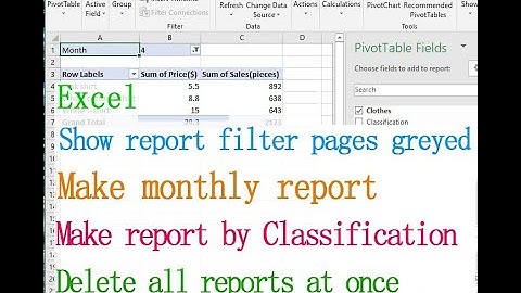Excel report generator (make monthly report, Show report filter pages greyed out)