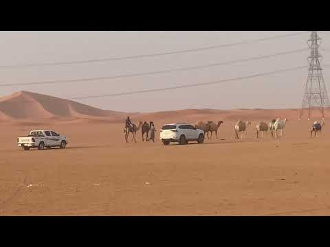 دحة اهل الجوف