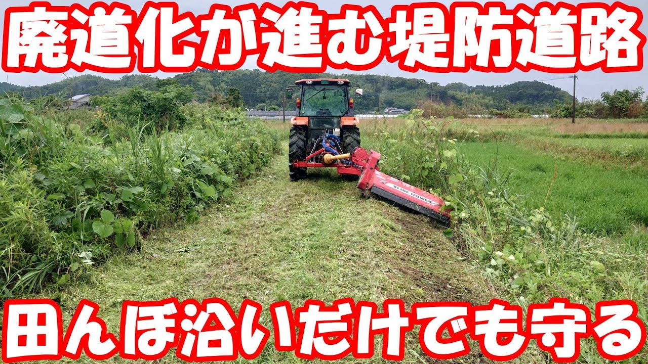 廃道化が避けられない使われない堤防道路。#草刈り