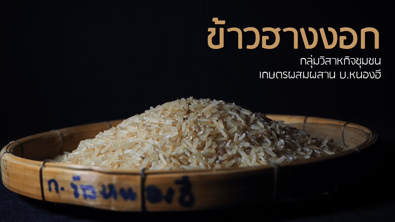 ข้าวฮางงอก บ.หนองฮี