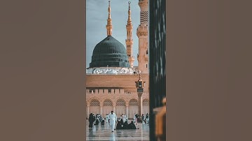 إِنَّ اللَّهَ وَمَلَائِكَتَهُ يُصَلُّونَ عَلَى النَّبِيِّ ۚ  | سورة الأحزاب | الشيخ هزاع البلوشي🎧