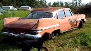 Field Find: Rare 1959 Dodge Viscount!