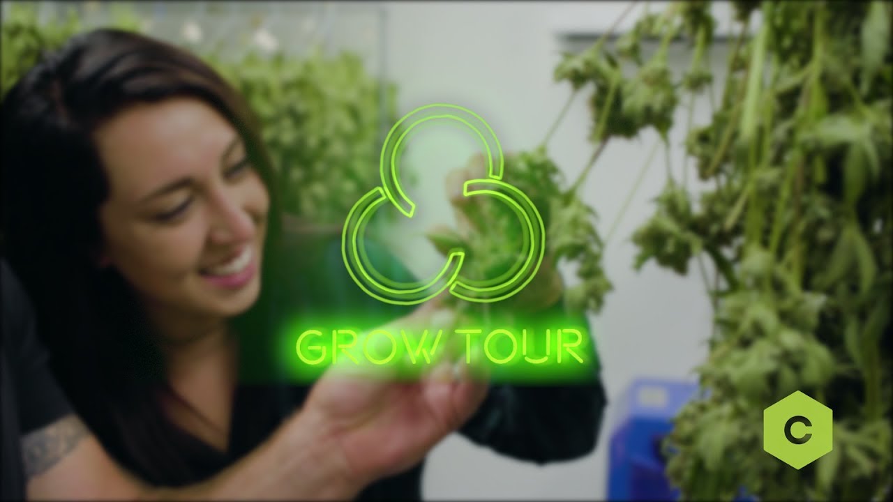 Tour 3c Farms with CannaSafe and Ashlee Belzo