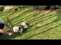 Dog protective vests