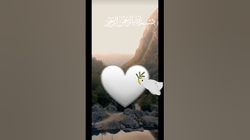 وننزل من القرآن ماهو شفاء ورحمة للمؤمنين💦 من سورة الإسراء 💦تلاوة هادئة راحة نفسية