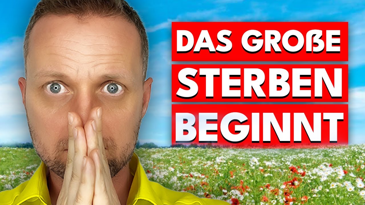 Wieso sinkt die Lebenserwartung gerade drastisch nur in Deutschland?