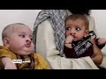 Shamshad Dari News 15/06/2026 خبر دری