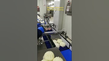 Do you know fully automatic steamed bun packaging machine?#packingmachine #machine #factory #package