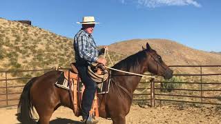 Schooling in a Halter (plus a few words about ropes)