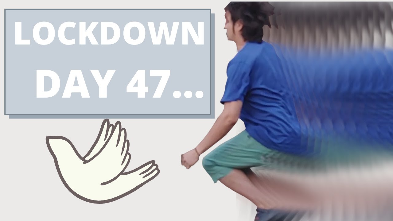 Flying in my Backyard (Stop Motion)